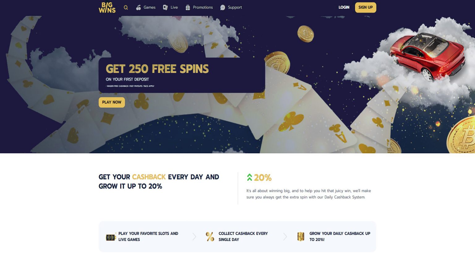 Bigwins Casino Site Evaluation